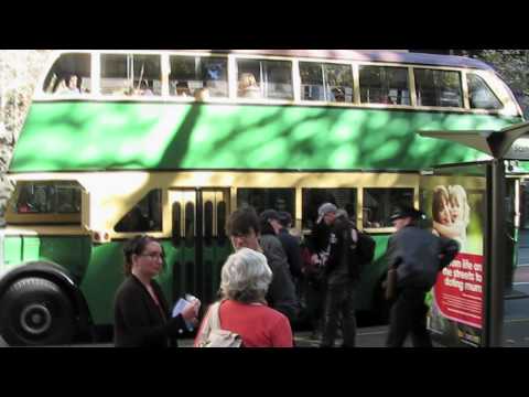 Vintage Sydney buses en route to Newport with supporters