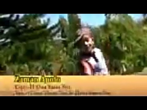 Zaman Apolo || Vocal ~ Coco dewa ft Dewi sutra Nst