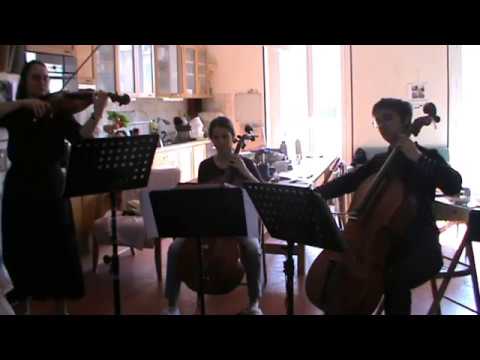 Arioso et allegro de Concert pour alto solo de Stan Golestan