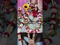 Mero Man Lagyo Shri Vrindavan Dham | Vishnu Priya Avi Ji | Radha Krishna Bhajan Shorts | Mokshi_66