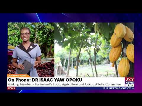 2026/27 Cocoa Season: Ghana struggles to raise local funds for delayed cocoa season