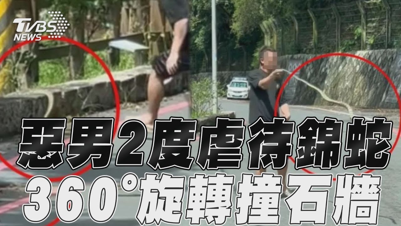 牠做錯什麼?男遇錦蛇「逃跑又抓回」頭上狂甩 最高罰30萬