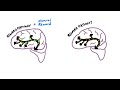 How An Addicted Brain Works