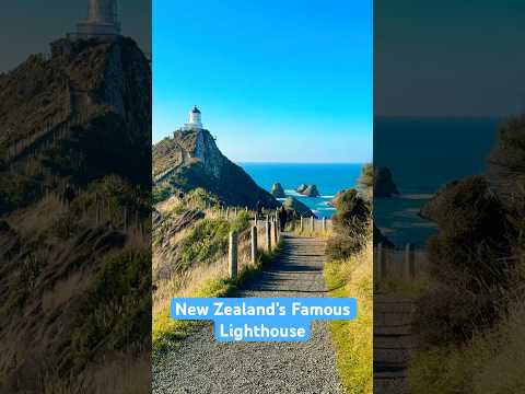The BEST Spot in New Zealand?! 🇳🇿 Nugget Point Lighthouse
