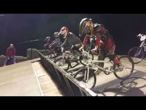 11/1/2014 - Spokane BMX - Race 3