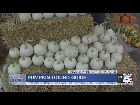 Pumpkin and gourd guide for Harvest Season