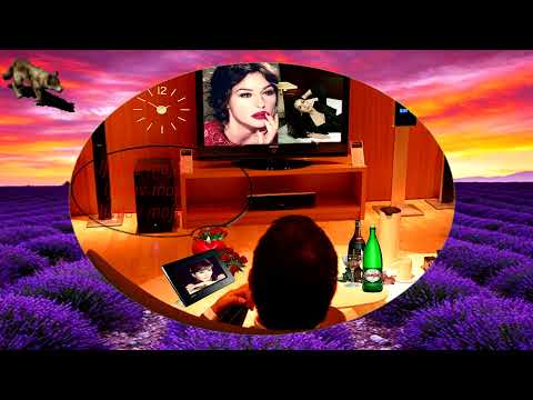 INDEXI-MOJOJ JEDINOJ LJUBAVI (TEKST)