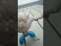 Bats Of A Feather Mirrorimage