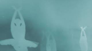 Geneva May - Shading Memories