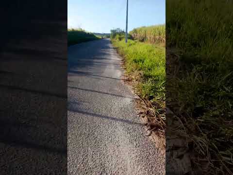 Deixando o quilombos patioba Japaratuba Sergipe.