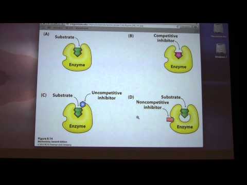 Ahern's Biochemistry #11 - Enzymes 3