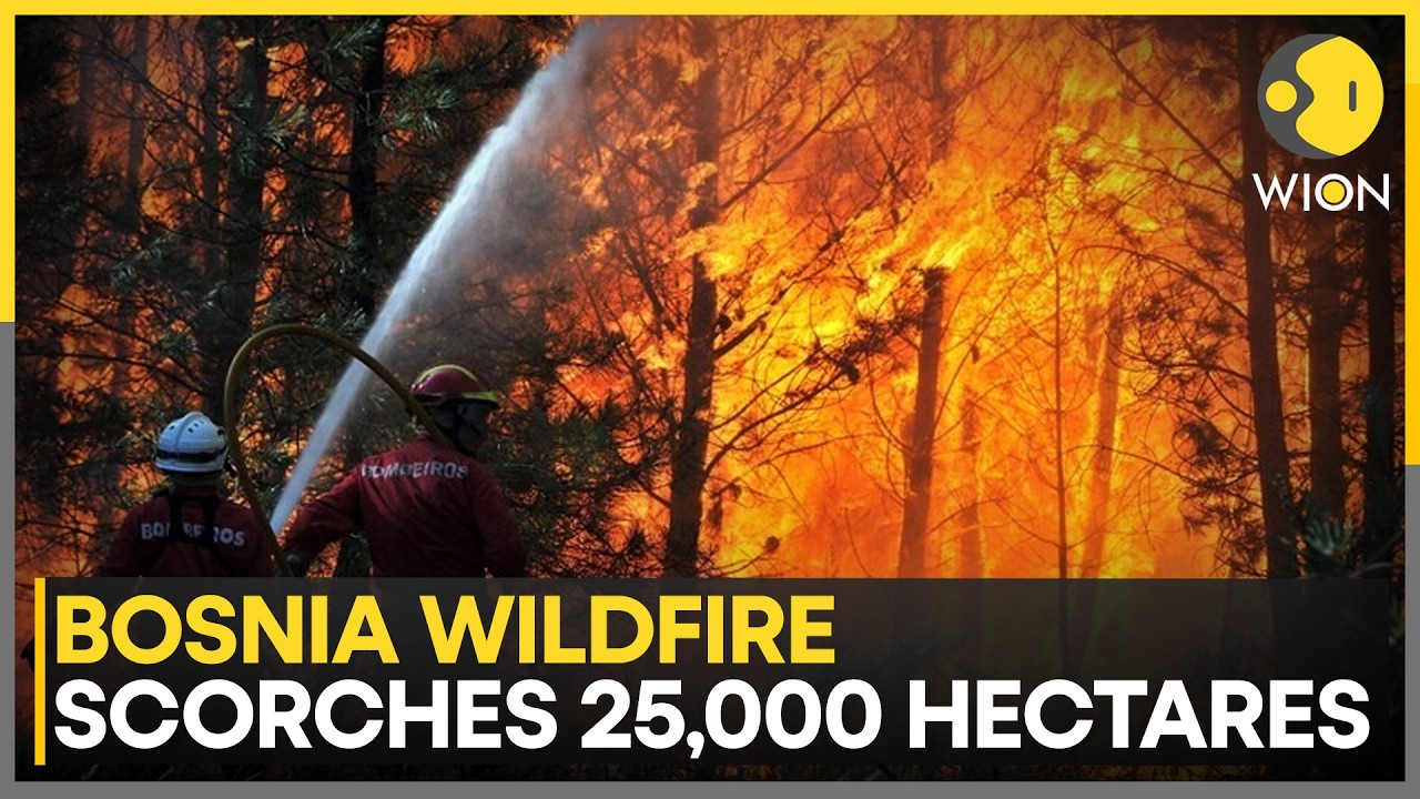 Bosnia Wildfire: Two Croatian Aircraft Join Fight Against Bosnia Blaze | WION News