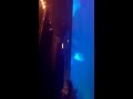 Herkules Club