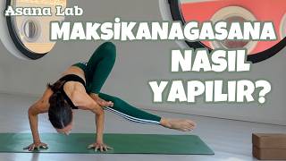Asana Lab - Maksikanagasana (Yusufçuk Pozu) Nasıl Yapılır?