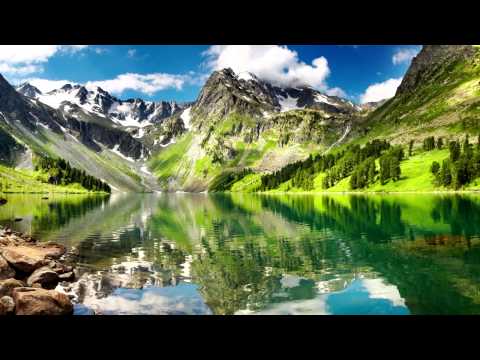 Rudebrat - Bad Wolf Bay (ft Veela & NLJ)