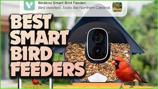 Birdwatching Made Easy: 5 Best Smart Bird Feeders!