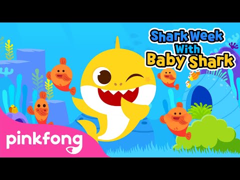 海の動物のように踊って動いてみよう｜サメの赤ちゃんと一緒にシャークウィーク｜ピンポン童謡 (Dance and Move like Sea Animals | Shark Week with Baby Shark | Pinkfong Songs for Children)