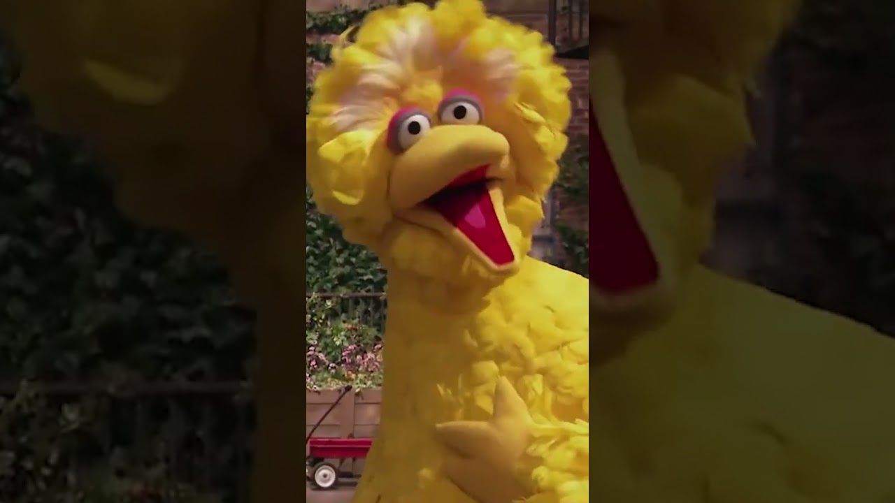 ビッグバードの誕生日 #ハッピーバースデー ＃ビッグバード #誕生日 #HappyBirthday #セサミストリート #shorts