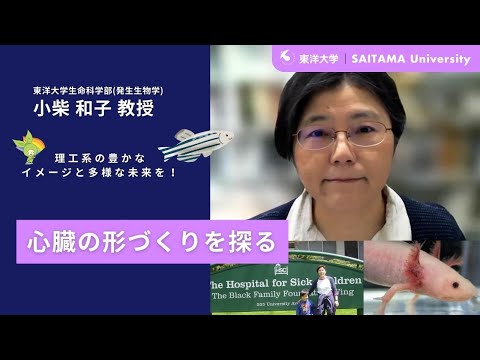教養学科 東洋大学　小柴和子教授