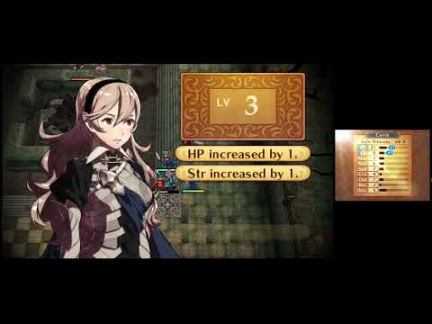 Fire Emblem Fates Chapter 2 Blind Lunatic