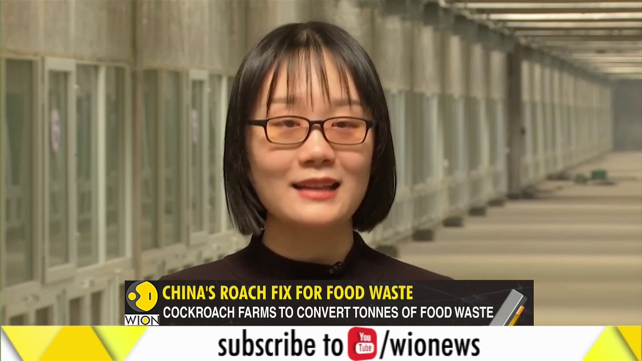 Miniature de la vidéo YouTube