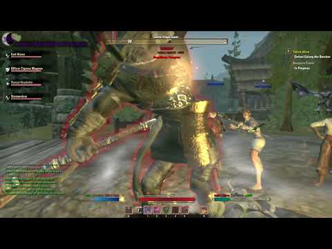 ESO dungeon gameplay- Falkreath Hold