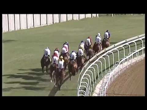 2017.06.03 Lonsdale Stirrup Cup (RSA) - Captain Splendid