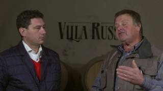 villa russiz: la dislocazione dei vigneti