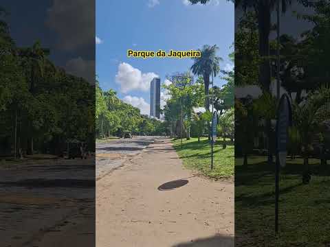 Domingo no Parque da Jaqueira. Recife, Pernambuco. Brasil.