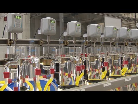 Researchers Refine Rare Earth Element Recovery Process