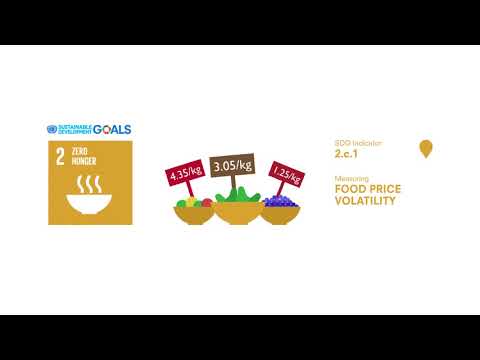 SDG 2 – Indicator of price volatility