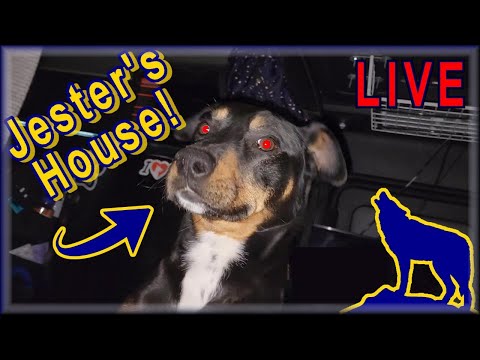 Jester's House LIVE Stream for Watch Hours featuring Michelle from @Bellasboutique3dprints