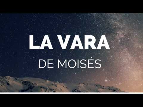 JOEL SOLANO - LA VARA DE MOISÉS Official Audio