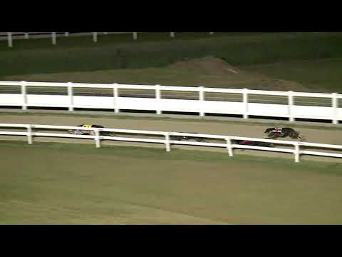 2020.07.10. 03. futam - July Trophy A1