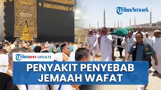 Penyebab Jemaah Haji 2025 Meninggal Kebanyakan karena Penyakit Jantung, Kemenkes Beri Imbauan