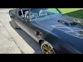 1977 Trans AM Black on Black Heat Wave