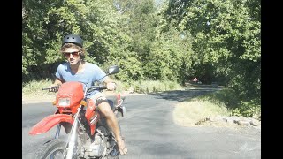 Die Heuwels Fantasties - SY (Lyrics Video)