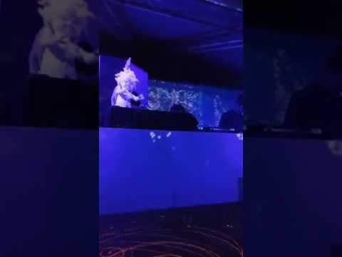 Methodic Marble live act @ Freekuency Festival 2017