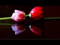 Sister Hazel - Out There (Legendado)
