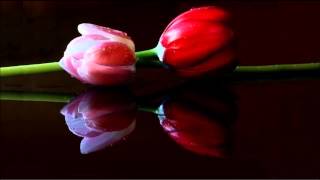 Sister Hazel - Out There (Legendado)