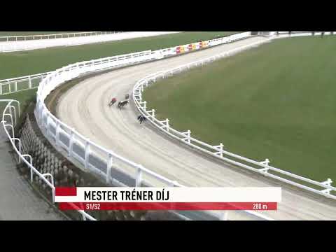 2022.12.17. 04. futam - Mester Tréner Díj