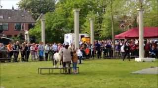 preview picture of video 'Kingsday Koningsdag 2014 Winterswijk Showteam Appie Kamps paardenmarkt volksfeest 26 april 2014 HD'