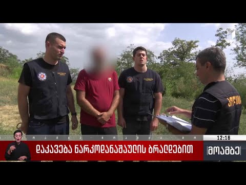 დაკავება ნარკოდანაშაულის ბრალდებით