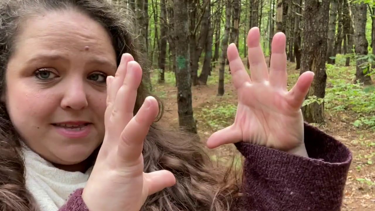 Natural Mandala Lesson Plan PART 1