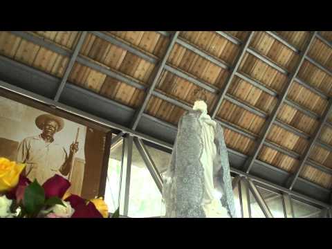 A RAINHA ME MANDOU - FLOR DE JAGUBE - MESTRE 8