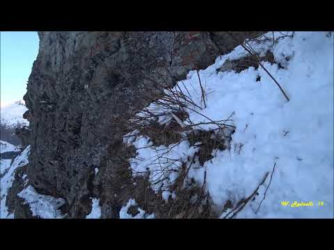 - Palchi di Cervo 2019 -  " Lassù dove osano le aquile "