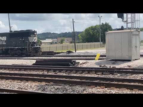 NS 6901 meets rail train with horn salute