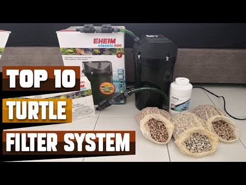 Best Filter System For Turtle In 2026 - Top 10 Filter System For Turtles Review