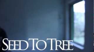 Seed To Tree (LakustX Session) - Teaser