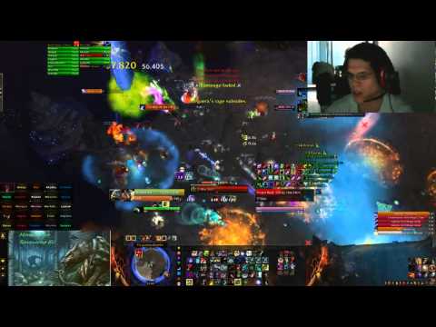 TEO vs Megaera 25 man Heroic, Survival Hunter PoV